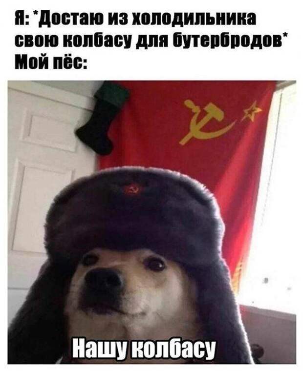 5-8.jpg