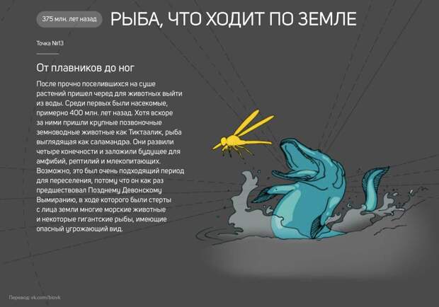www.vsyako.net