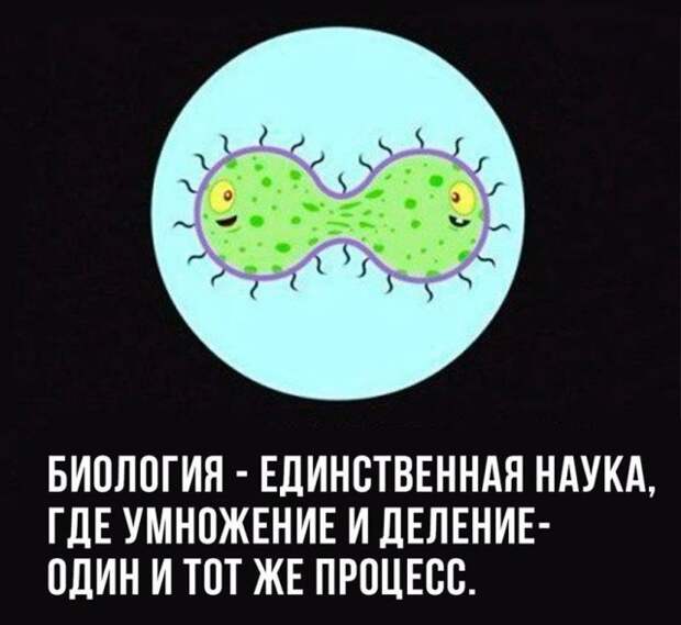 Юмор для интеллектуалов и от интеллектуалов Юмор для интеллектуалов и от интеллектуалов