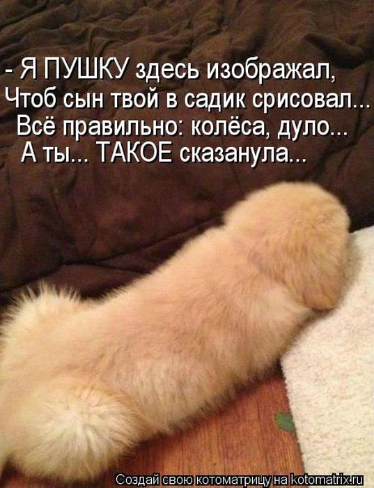 Котоматрицы(картинки с надписями)