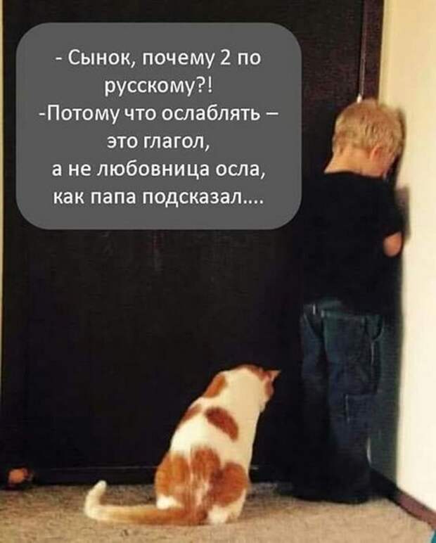 Прикольные картинки 24.08.17