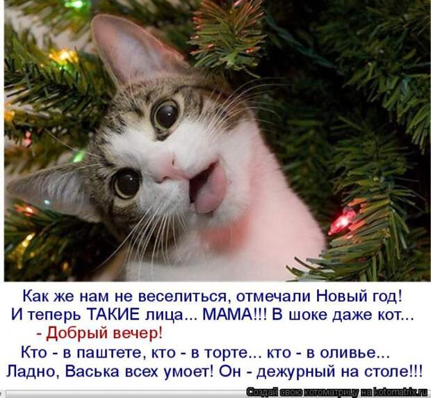 Лучшие котоматрицы недели (50 фото) Лучшие котоматрицы недели (50 фото)