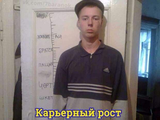 Прикольные картинки 24.08.17