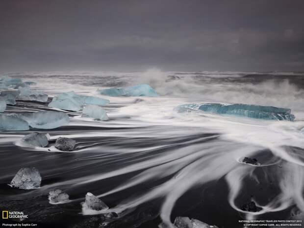 natgeowllppr12 natgeowllppr12 990x742 Обои для рабочего стола от National Geographic за июнь 2013