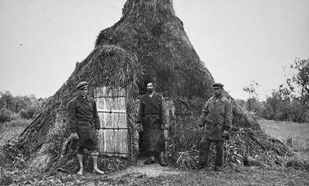 казаки