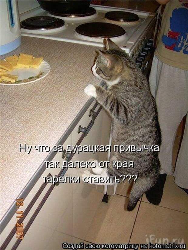 Котоматрицы :)