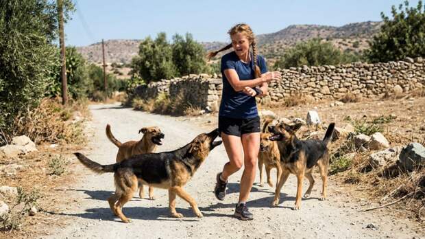 Стая собак напала на легкоатлетку Масанову во время пробежки на Кипре