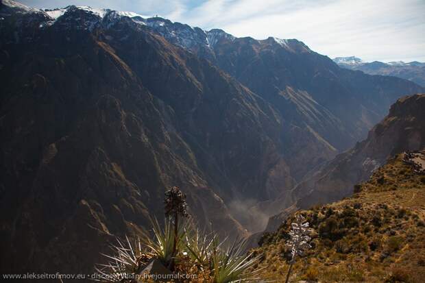Спускаемся в глубочайший каньон на Земле colca02 Спускаемся в глубочайший каньон на Земле