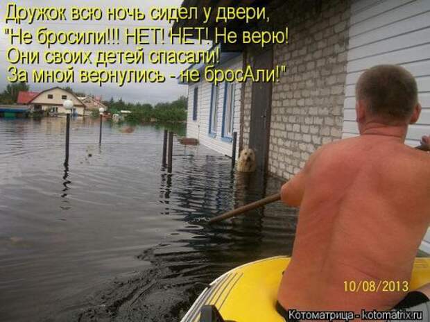Котоматрицы(картинки с надписями)