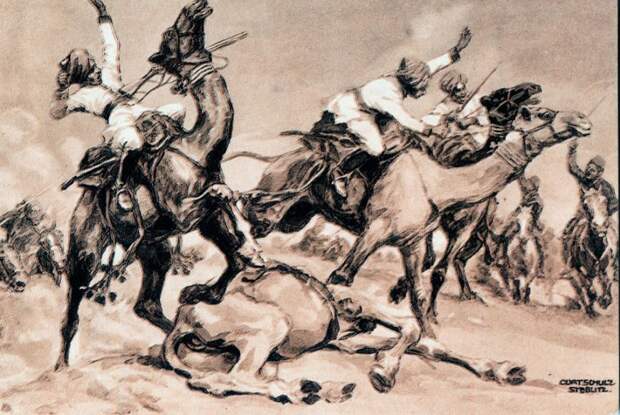 Галерея животных, втянутых людьми в мировую бойню Галерея животных, втянутых людьми в мировую бойню факты, мировая война, животные