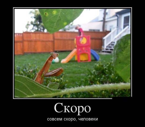Подборка прикольных и жизненных демотиваторов из сети