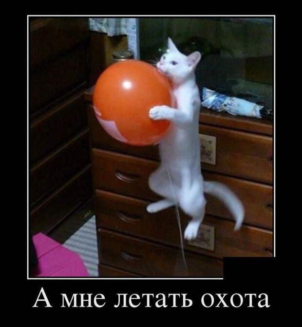 Демотиваторы (30 фото)