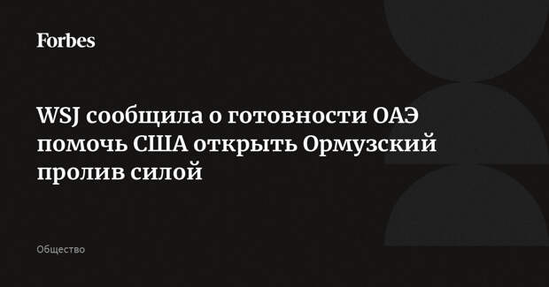 WSJ сообщила о готовности ОАЭ помочь США открыть Ормузский пролив силой