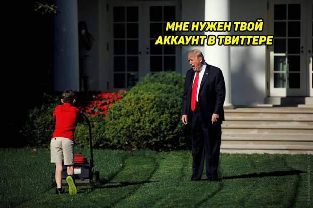 трампа забанили в твиттере