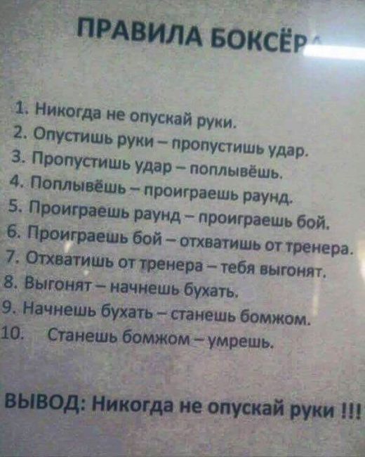 Подборка веселых фото и картинок с надписями (10 фото)