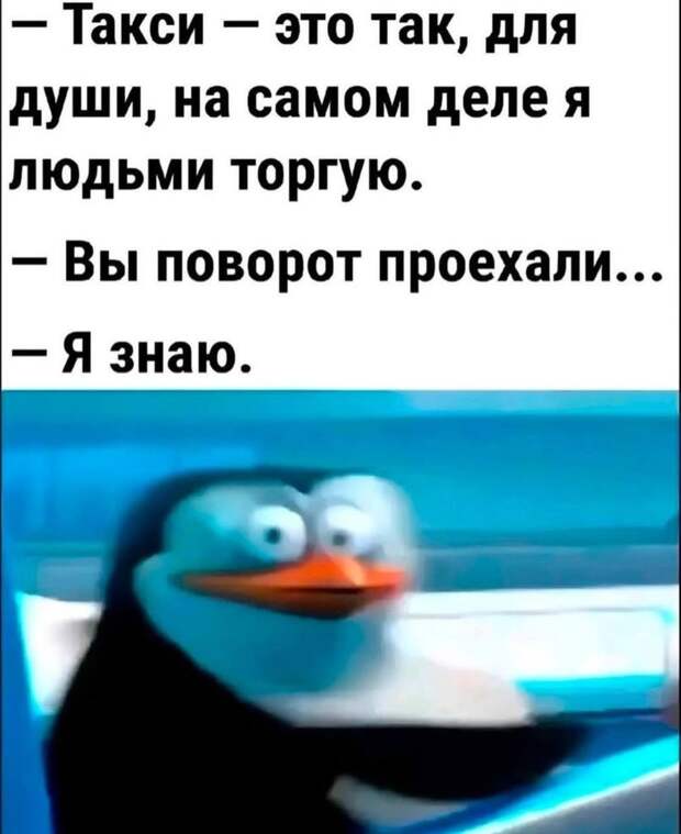 Картинки для хорошего настроения мужчине прикольные