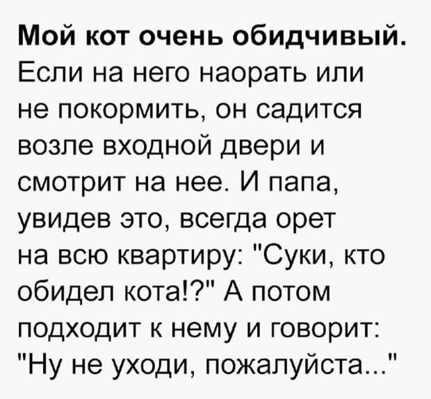 Подборка смешных и жизненных историй