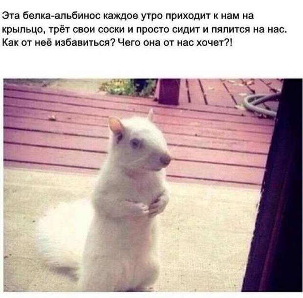 Намекать правильно - это искусство Намекать правильно - это искусство