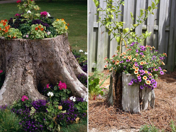 3-ways-to-decorate-old-tree-stumps-in-garden-1