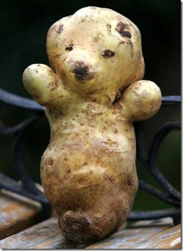 unusual-fruit-and-vegetables12