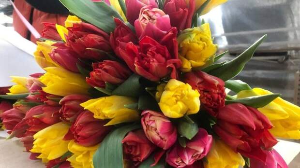 Праздничный трамвай совершит музыкальный рейс в Пятигорске 8 марта