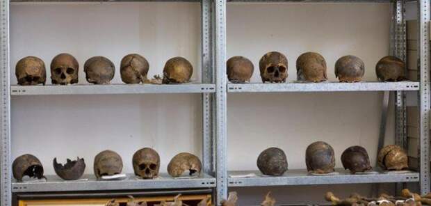 Черепа, найденные на поле битвы история, мумии, наука, скелеты