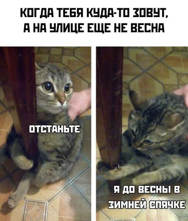 Смешные фото 16 февраля 2021 года