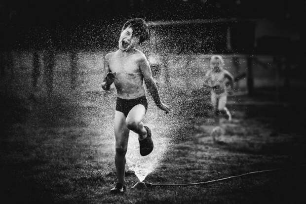 Лови момент или мастерство фотографа, подборка фотографий 2
