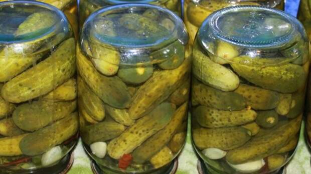 Не нефть, не газ и не зерно: в России появился новый экспортный продукт, который заменит сырье...