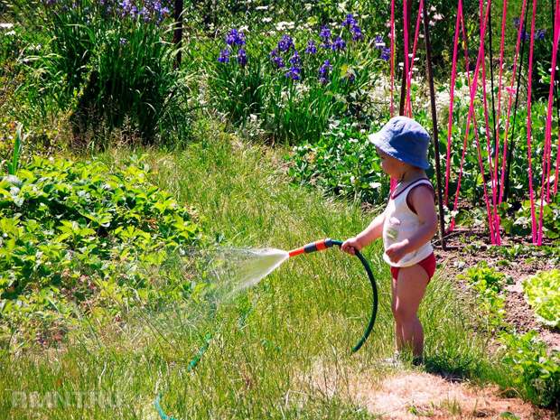 Ребёнок на даче — учимся азам огородничества и не скучаем