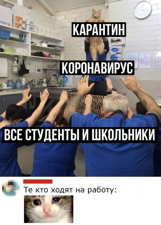 мемы про коронавирус