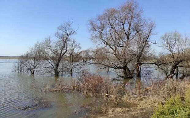 Гидрометцентр обещает высокое половодье на Оке в Рязанской области в 2026 году