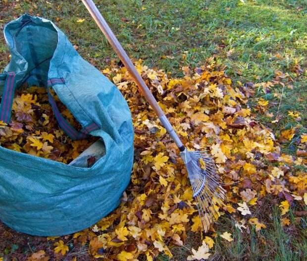 быстрый компост в мешках плюсы