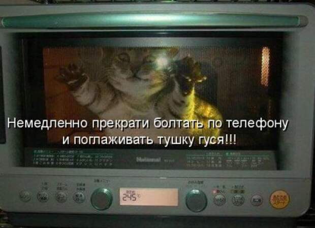 Котоматрицы ржачные здесь.