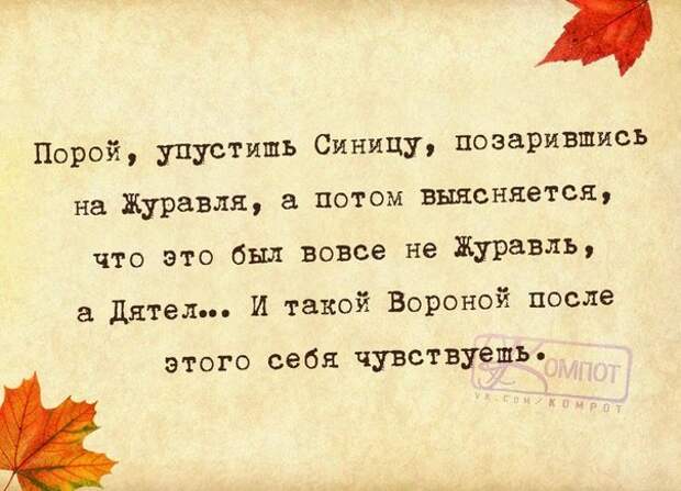 Спор с женщиной - как охота на слона... Спор с женщиной - как охота на слона...