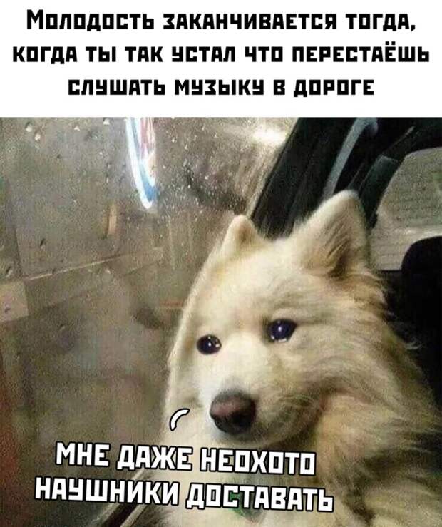 www.vsyako.net
