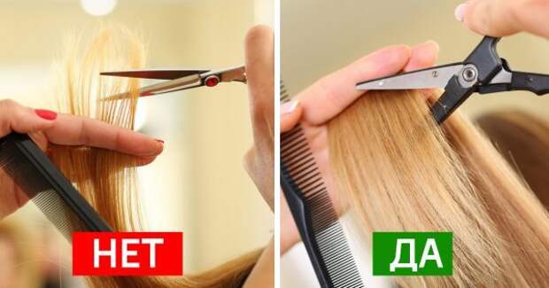 thumb2-600x315 (1)