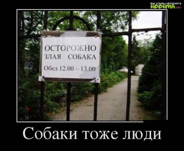 Свеженькие демотиваторы на сегодня