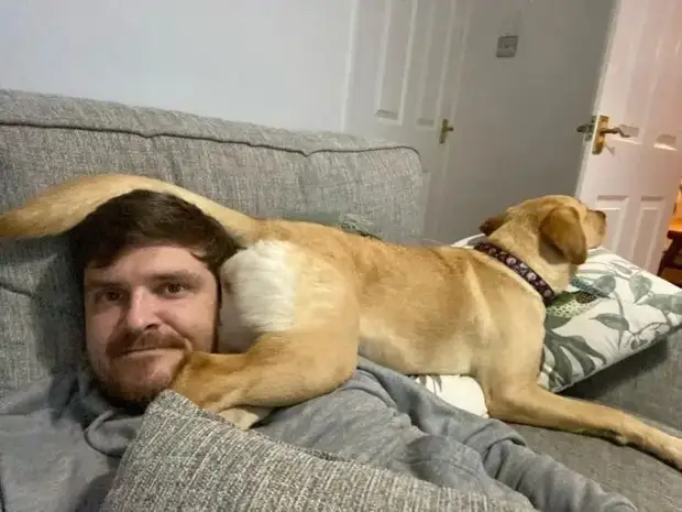 Питомцы, которые не знают границ когда, нравится, просто, смотрю, через, моюсь»«Это, просыпаюсь, достаточно, чтобы, занять, Иногда, стул»Когда, контролирует, питомцы, понятие, личных, границ, перестаёт, живут, огромны«Это