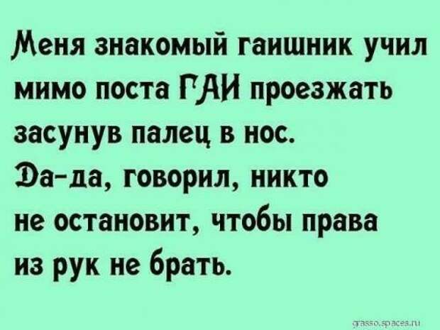 15 смешных и жизненных историй для поднятия настроения!