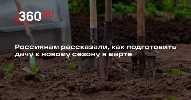 Депутат Чаплин: до конца марта на даче нужно убрать мусор и внести удобрения