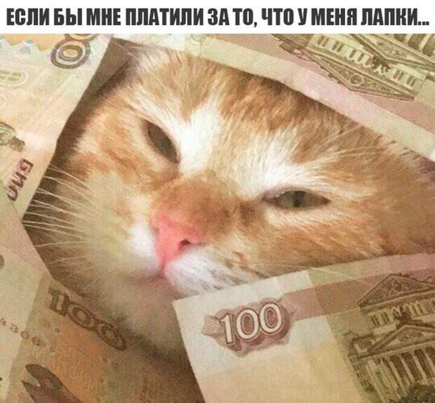 Прикольные картинки 24.08.17