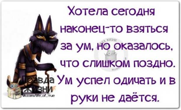 Прикольные "правдивости"