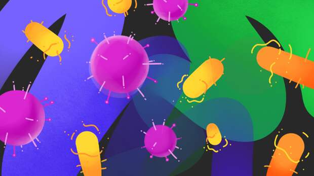 В чем разница между вирусом и бактериями и как работают антибиотики: разбор