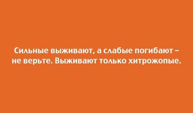 clip_image006