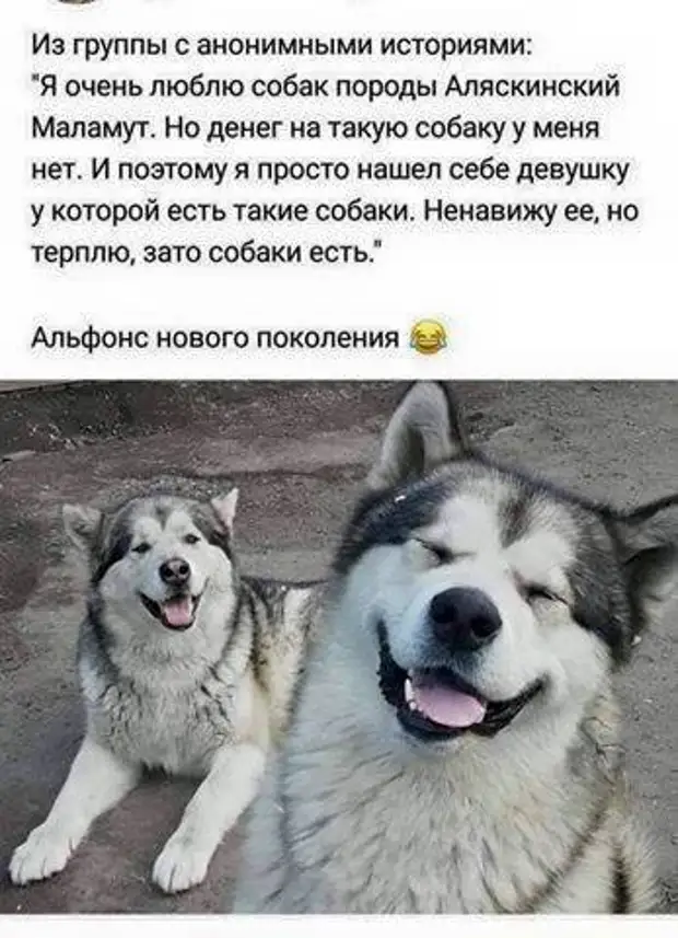 - Люсь, а Люсь - а че ты каждую ночь на полную громкость эротику по видикy смотришь?...