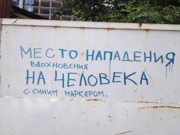 Смешные надписи (73 фото)