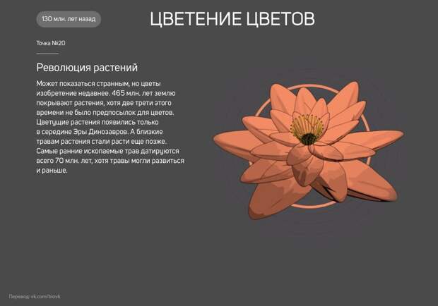 www.vsyako.net
