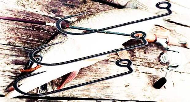 Извлечение крючка из пасти щуки иллюстрации, крючок, рыба, рыболов, фото, щука
