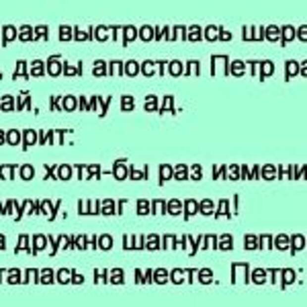 У ворот рая выстроилась шеренга женщин, дабы апостол Петр рассудил, кому в рай, кому в ад…